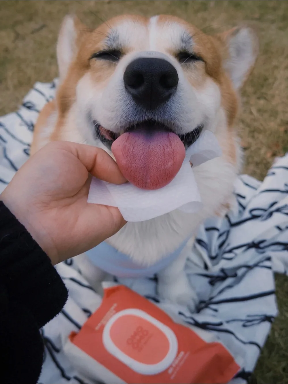 OMO OMO Pet Grooming Wipes